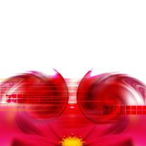 - - wallpaper preview