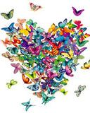 butterfly - wallpaper preview