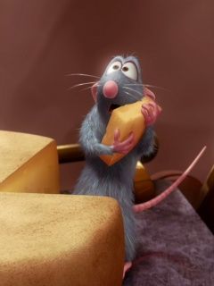 Ratatouille