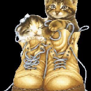 Kitty