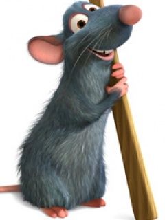 Ratatouille