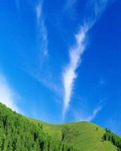 - - wallpaper preview