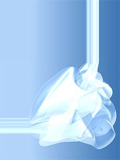 - - wallpaper preview