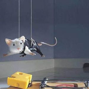 Mouse