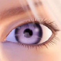 - - wallpaper preview