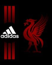 Adidas - wallpaper preview
