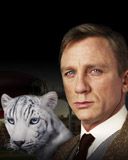 Golden Compass  - wallpaper preview