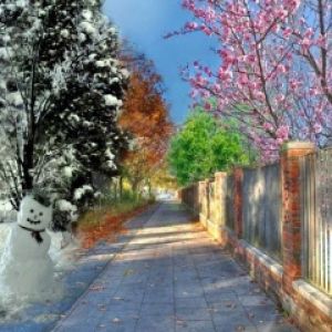 4 seasons in 1
