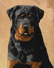 Rottweiler - wallpaper preview