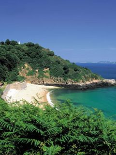 Guernsey - wallpaper preview