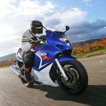 suzuki - wallpaper preview