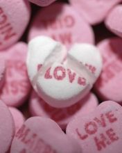 - - wallpaper preview