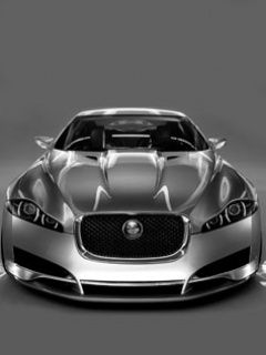 Jaguar - wallpaper preview