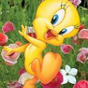 Tweety