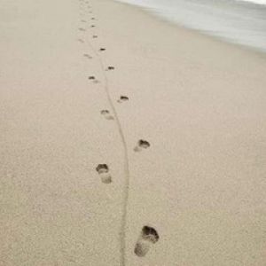 Footprint