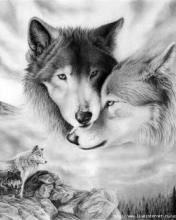 Wolf - wallpaper preview