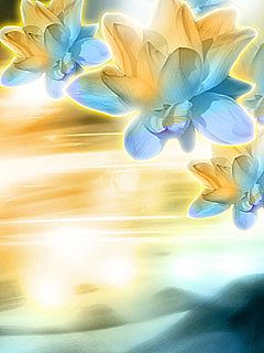 Beautiful Flowers - wallpaper preview
