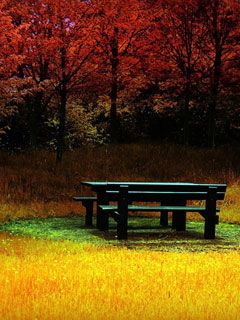 - - wallpaper preview