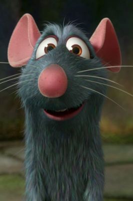 Ratatouille