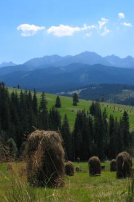 Tatry