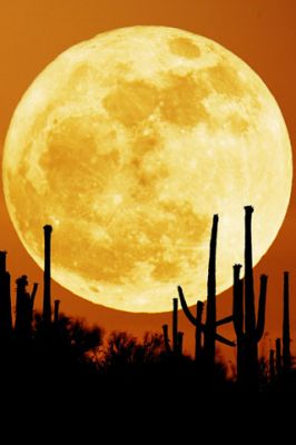 Moon - wallpaper preview