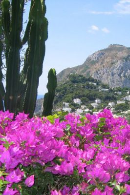 Capri - wallpaper preview