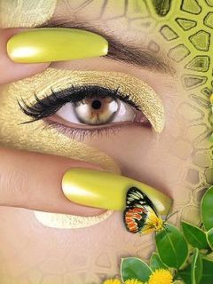 - - wallpaper preview