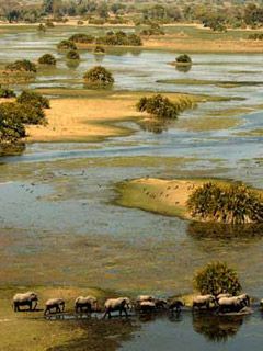 Safari by Botswana Odyssey