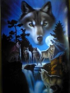 Wolf