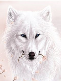 Wolf - wallpaper preview