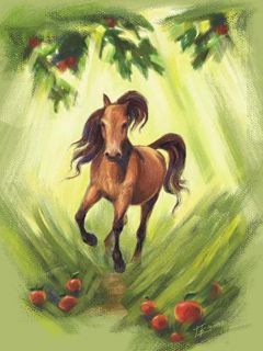 Horse - wallpaper preview