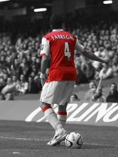 - - wallpaper preview