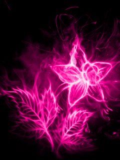 Pink Flower - wallpaper preview