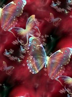 Butterfly - wallpaper preview