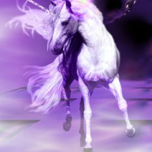 Unicorn