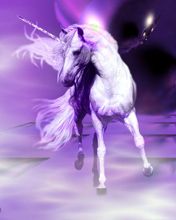 Unicorn