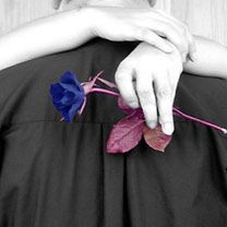 Blue Rose - wallpaper preview