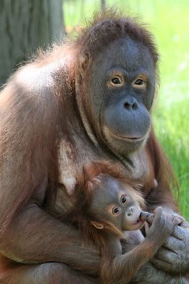 ZOO Berlin