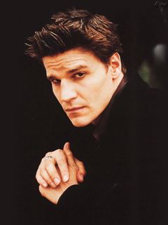 David Boreanaz