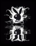 Playboy - wallpaper preview