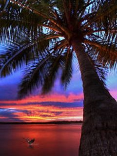 - - wallpaper preview