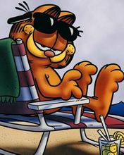 Garfield - wallpaper preview