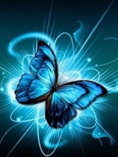 Butterfly - wallpaper preview