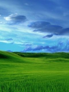 Windows Vista
