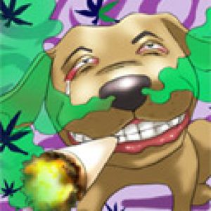 Perro de Caricatura Divertido