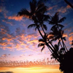 Atardecer tropical con palmeras