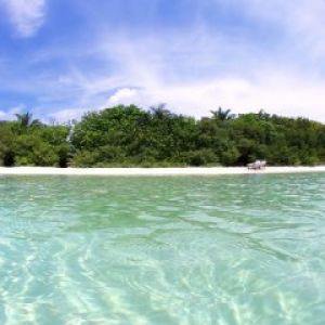 Paraíso Tropical