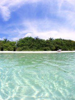 Paraíso Tropical