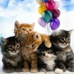 Gatitos Lindos con Globos
