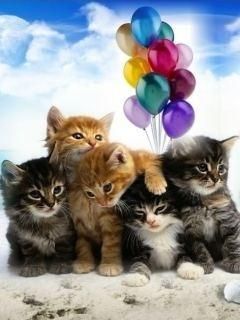Gatitos Lindos con Globos
